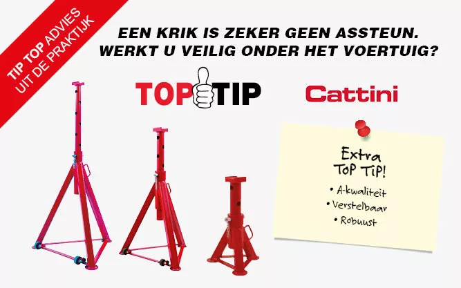 2020-07-cattini-toptip-klein-v2